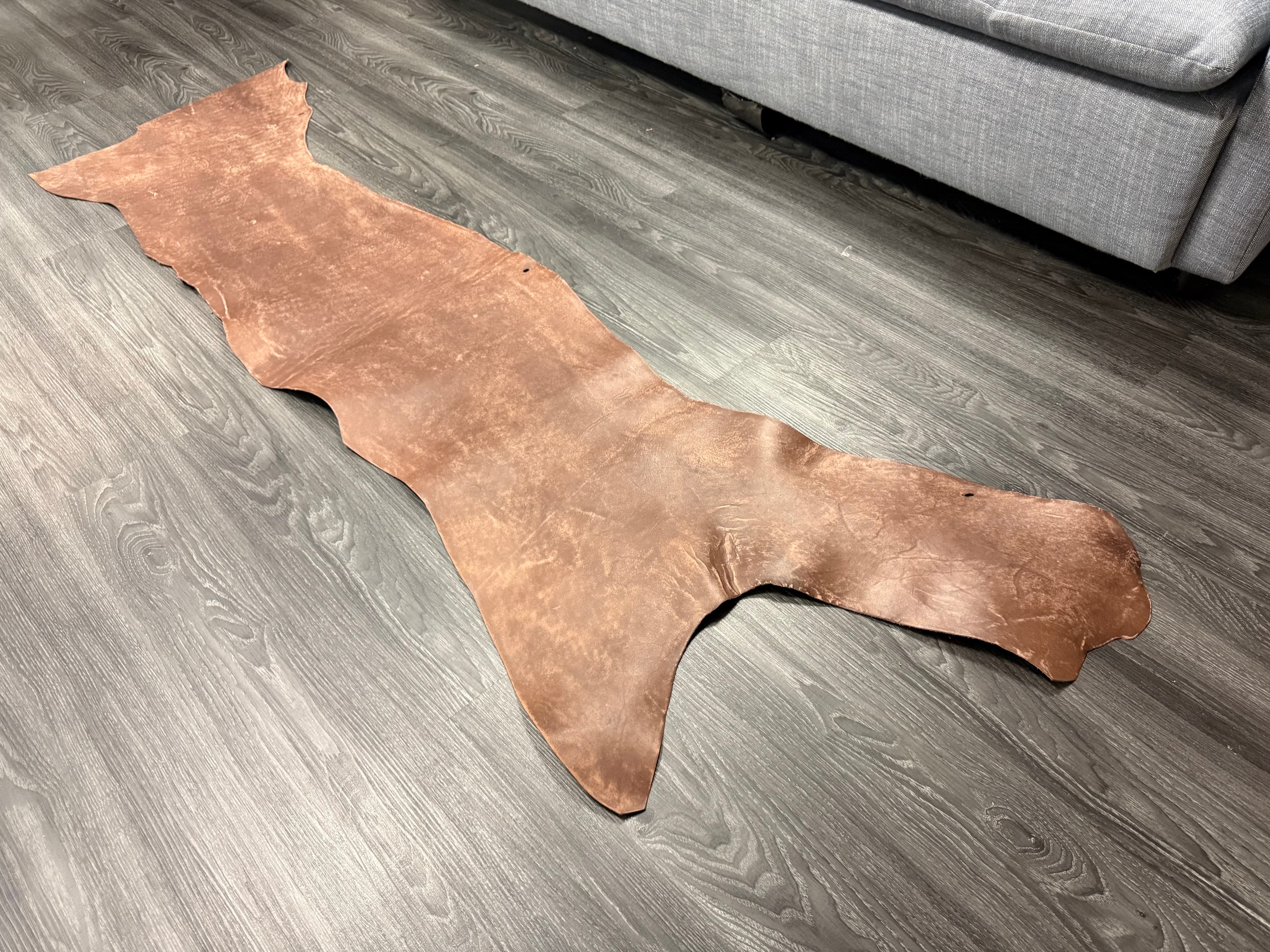 An elongated, irregular Whisky-colored Maya belly laid out on a gray living-room floor.