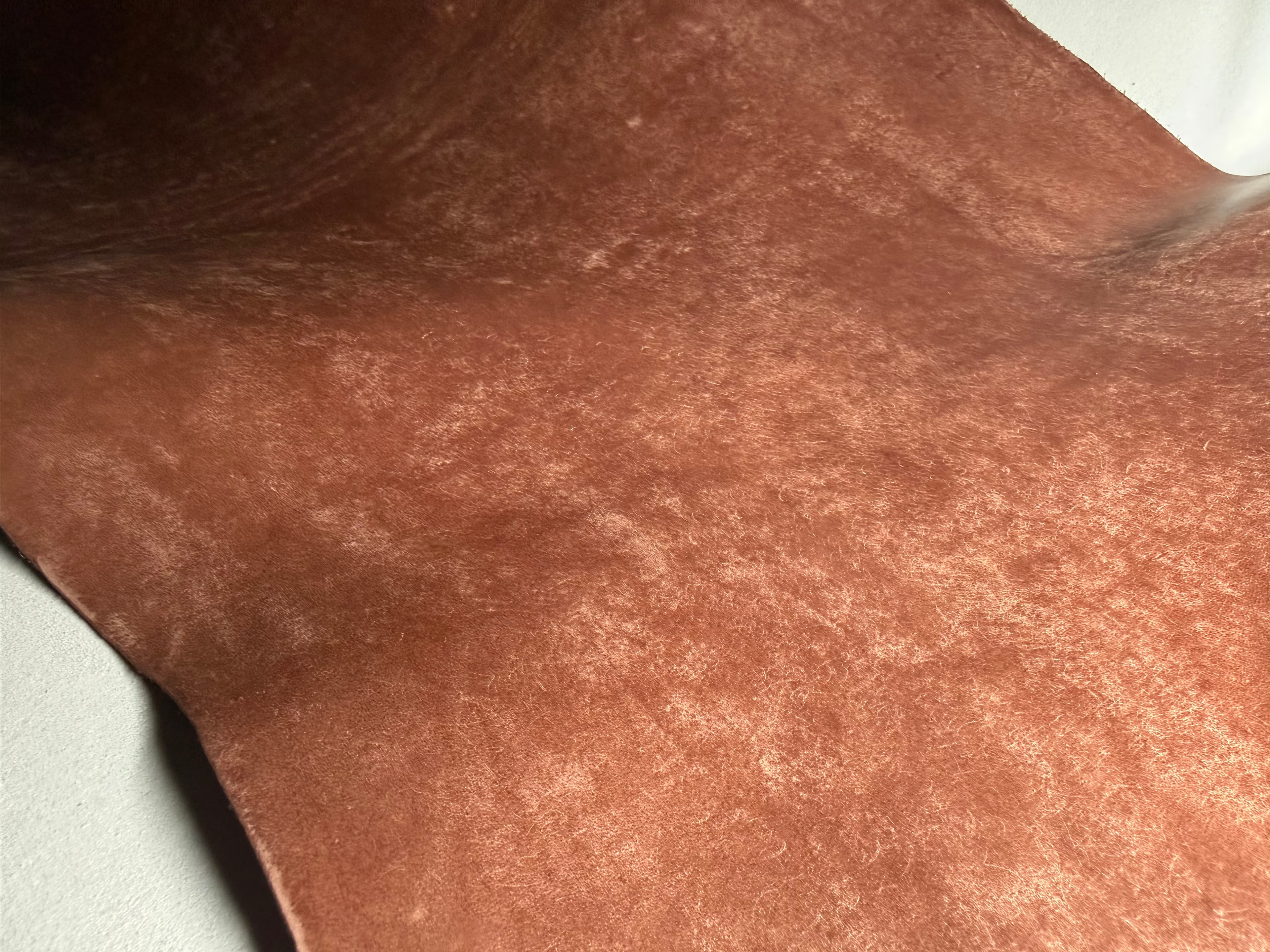 A closer view of Maya with a shallow curve, darker areas at the upper left, and dense pale markings toward the lower right.